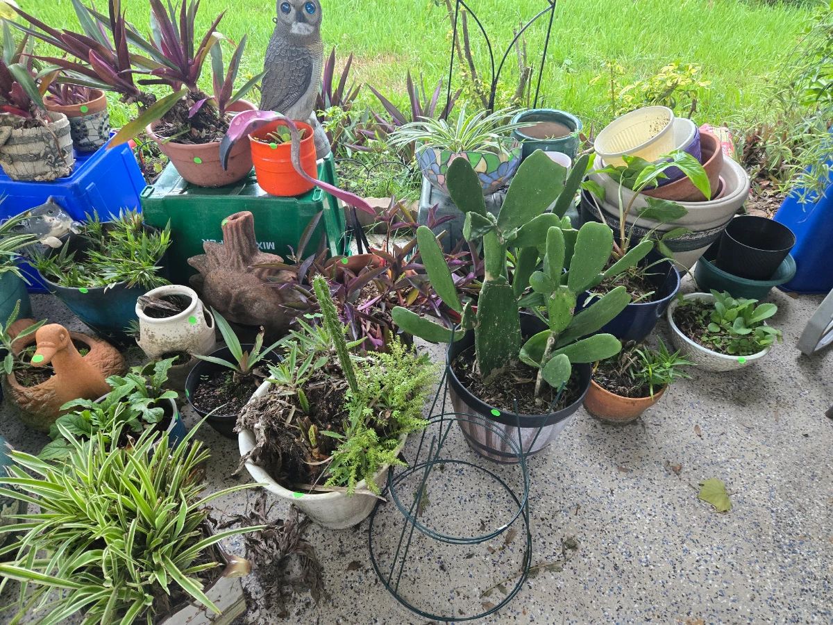 SWEET MEMORIES ESTATE SALES invites you to Oliver Estates in NSB!
