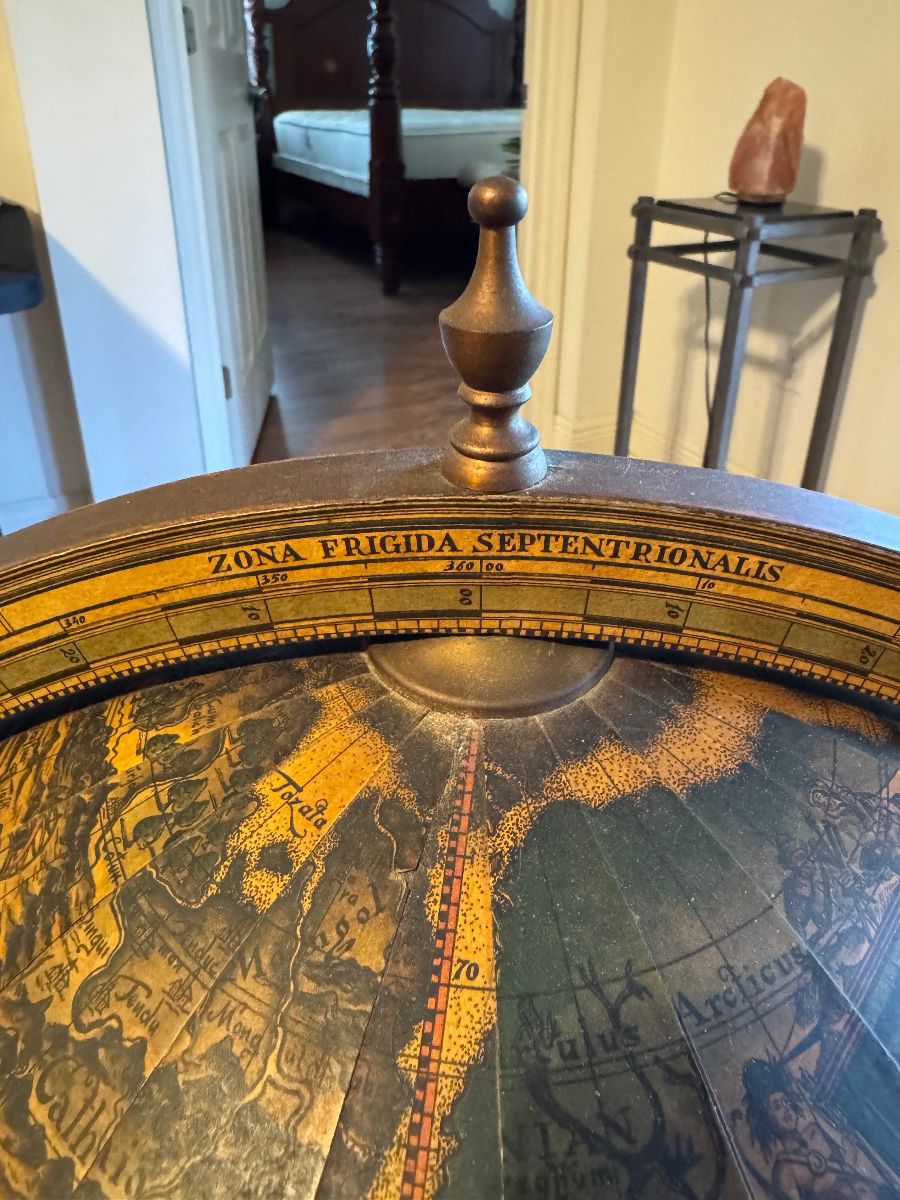 Amazing Finds in Connerton Land O Lakes