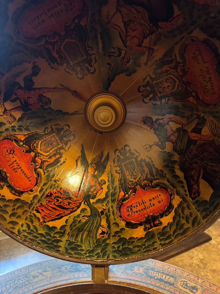 Amazing Finds in Connerton Land O Lakes