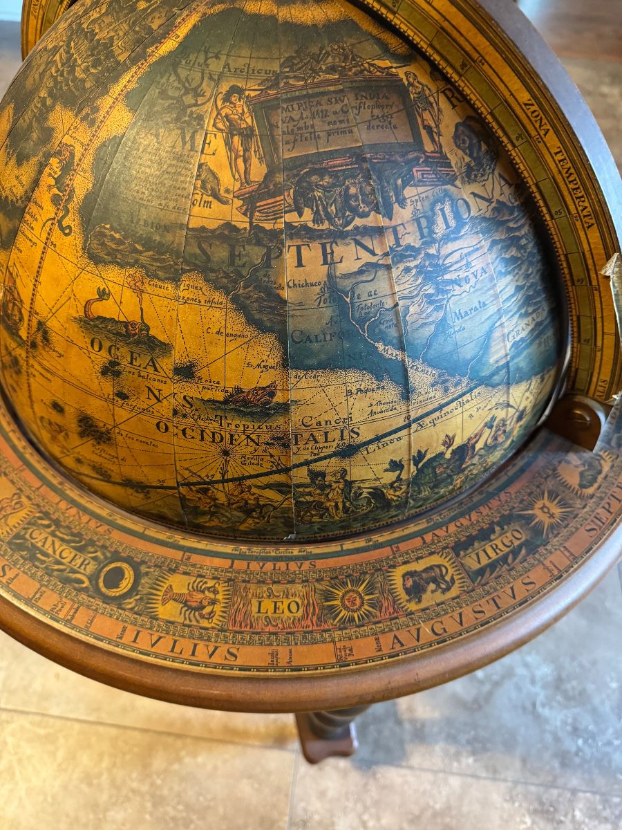 Amazing Finds in Connerton Land O Lakes