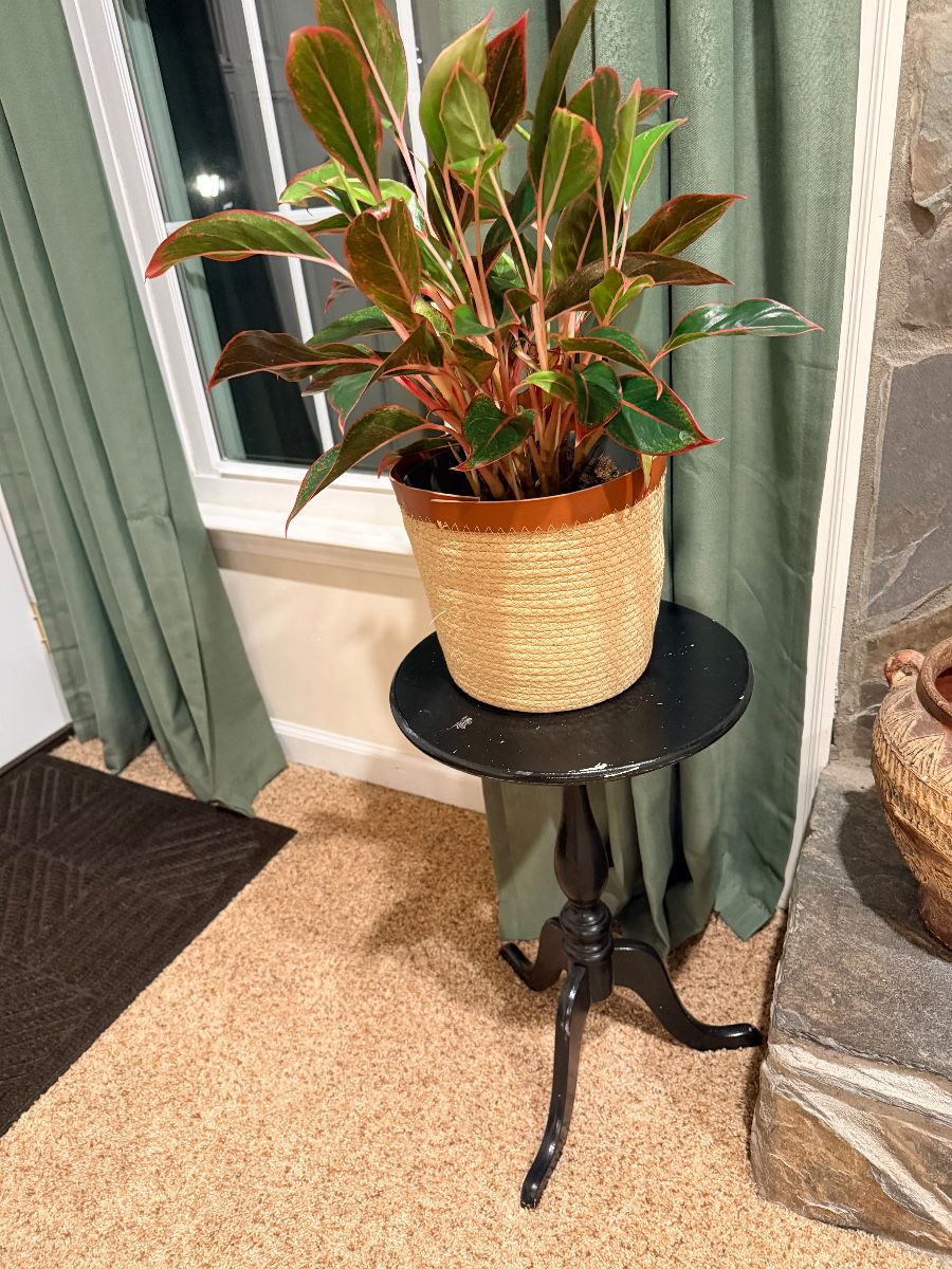 Modern Meets Vintage 3 Day Estate Sale in Fayetteville