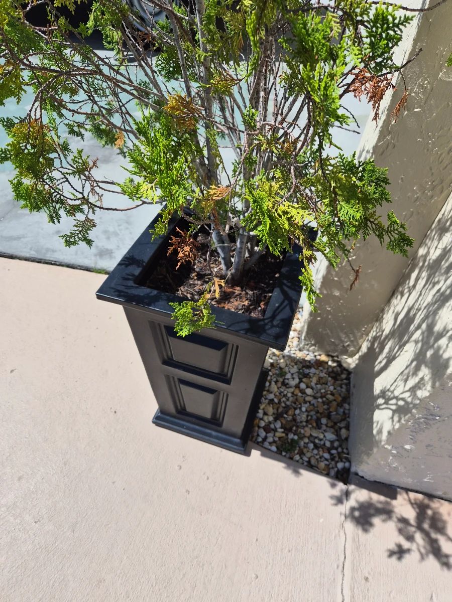 ESTATE SALES OF CENTRAL FLORIDA-Tne Original Estate Sale Company!