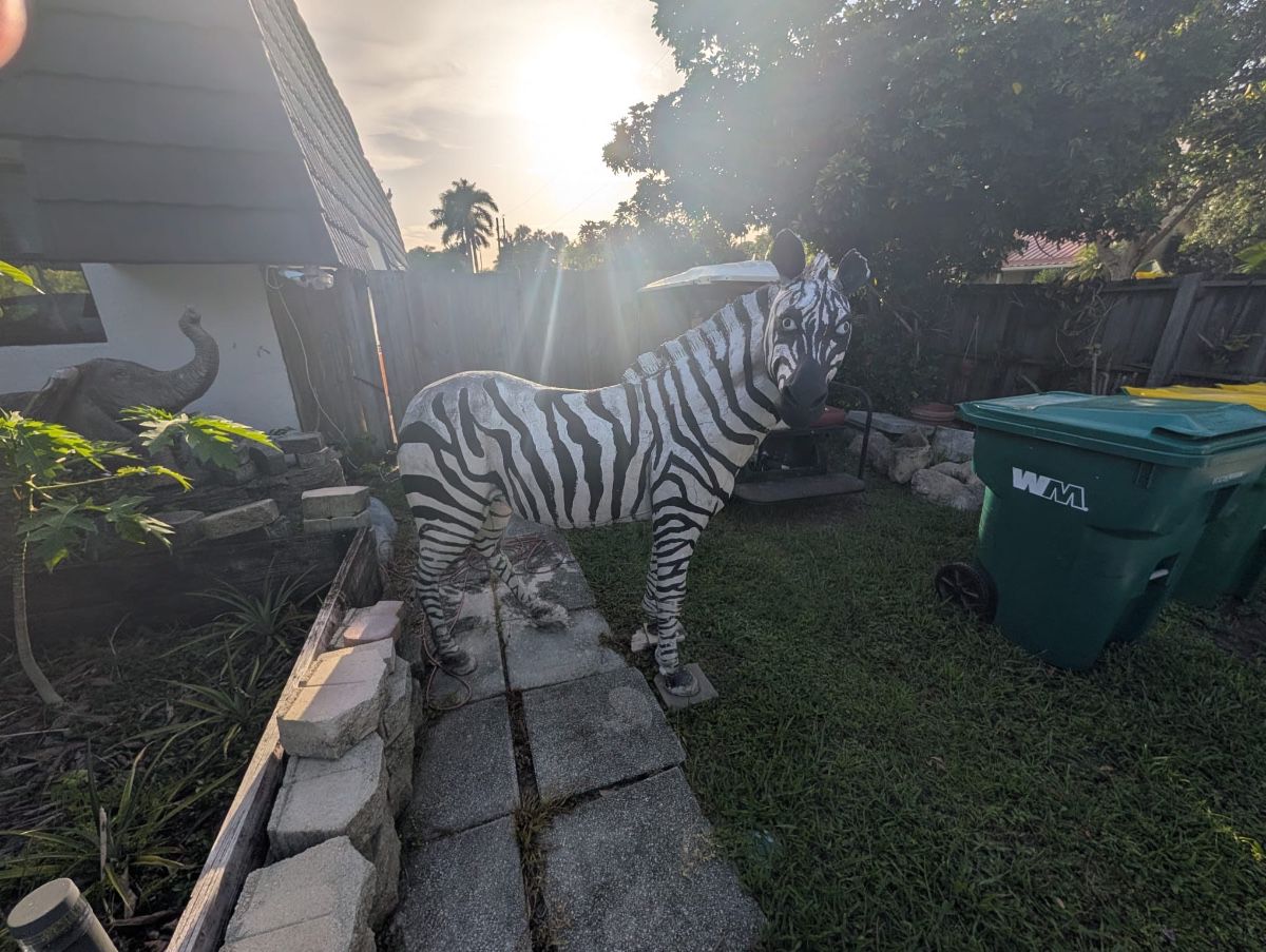 Incredible House Packed With Treasures!