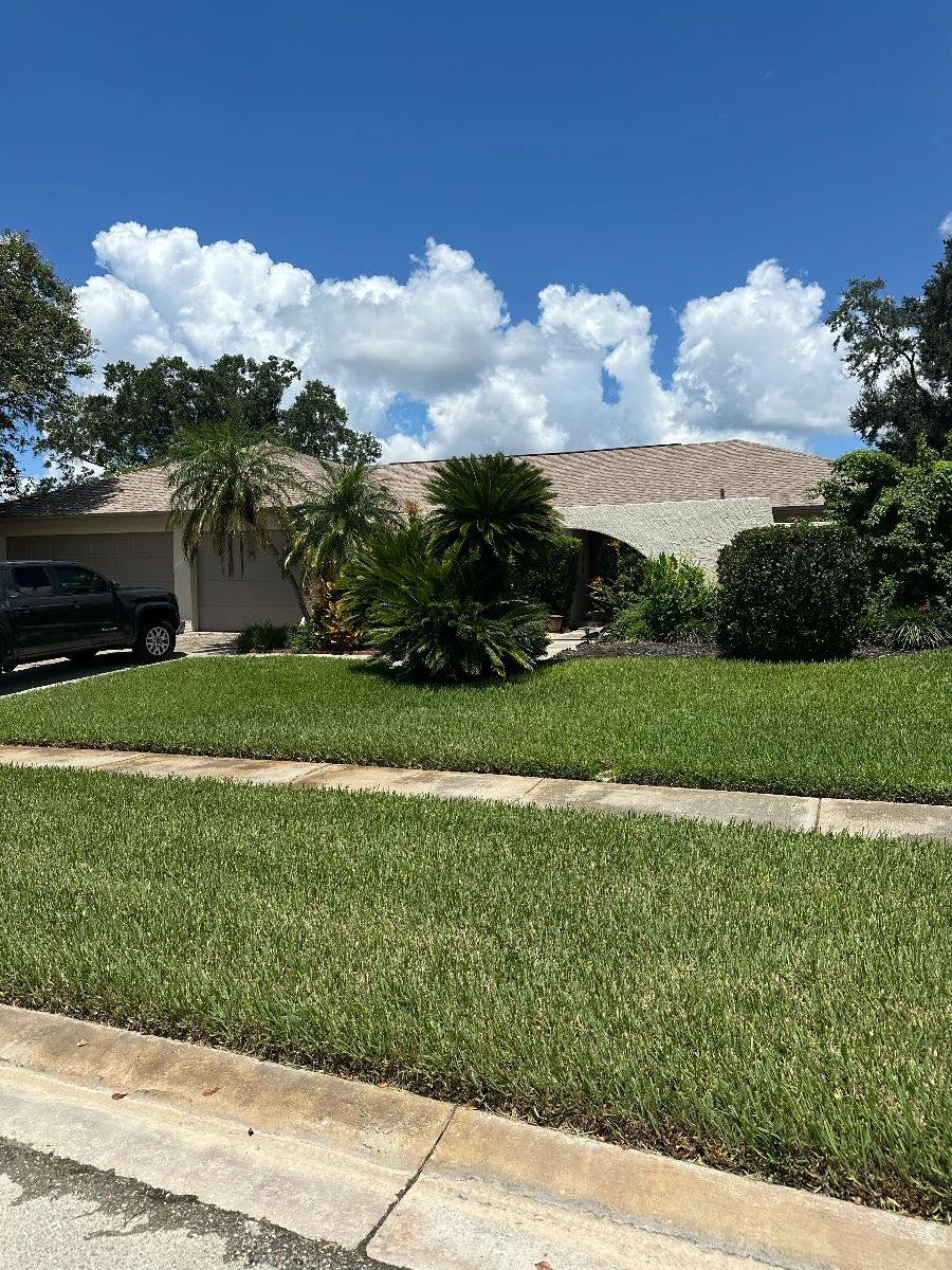 CAIT'S® Tampa Estate Sale