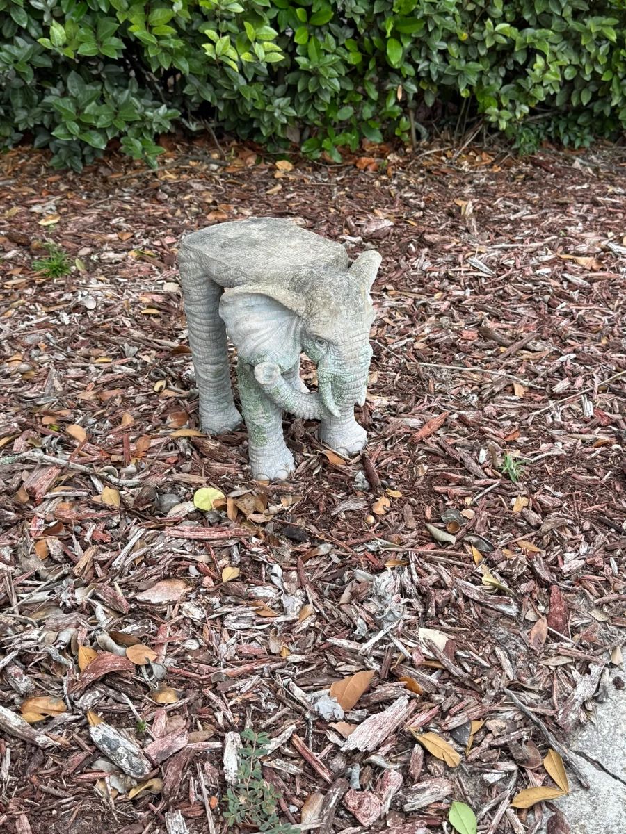 West Coast Florida Estate Sales in Spring Hill