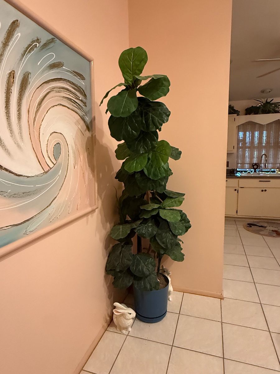 CANT TAKE IT WITH YOU - ESTATE SALE