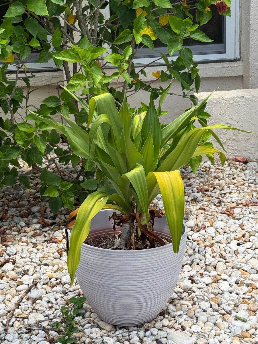 CANT TAKE IT WITH YOU - ESTATE SALE