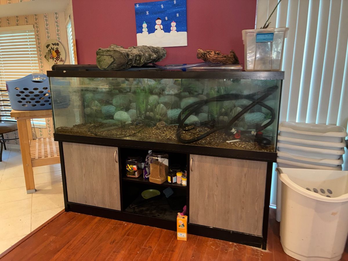 New 2 You in Ocala - 2 Day Only Sale