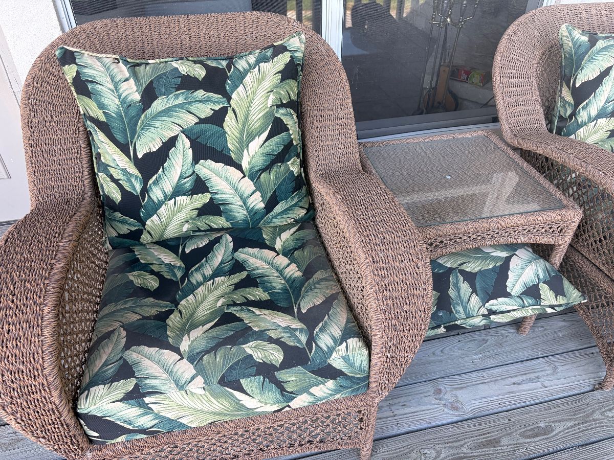 Living the Dream on the Lake! Sneak Peak! Vtg. Fender Amp. Sailboat, Kayak, Furniture,
