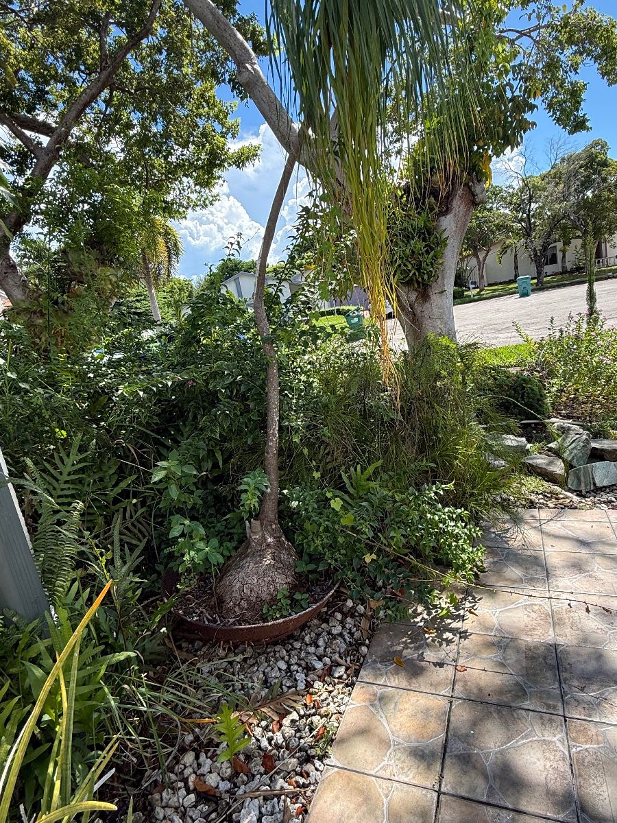 CROSSINGS - KENDALL - PLANTS, APPLIANCES