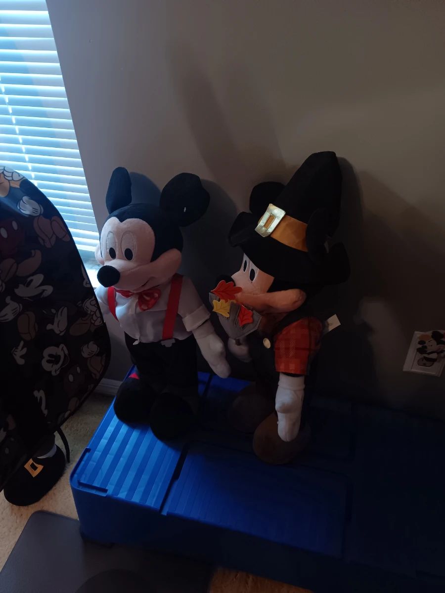 Estate Sale - Everything Must Go - Mickey Mouse Collection plus entire House