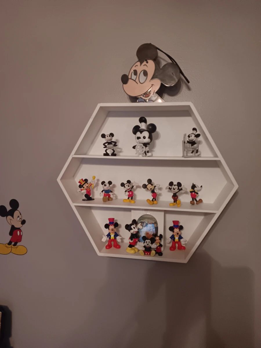 Estate Sale - Everything Must Go - Mickey Mouse Collection plus entire House