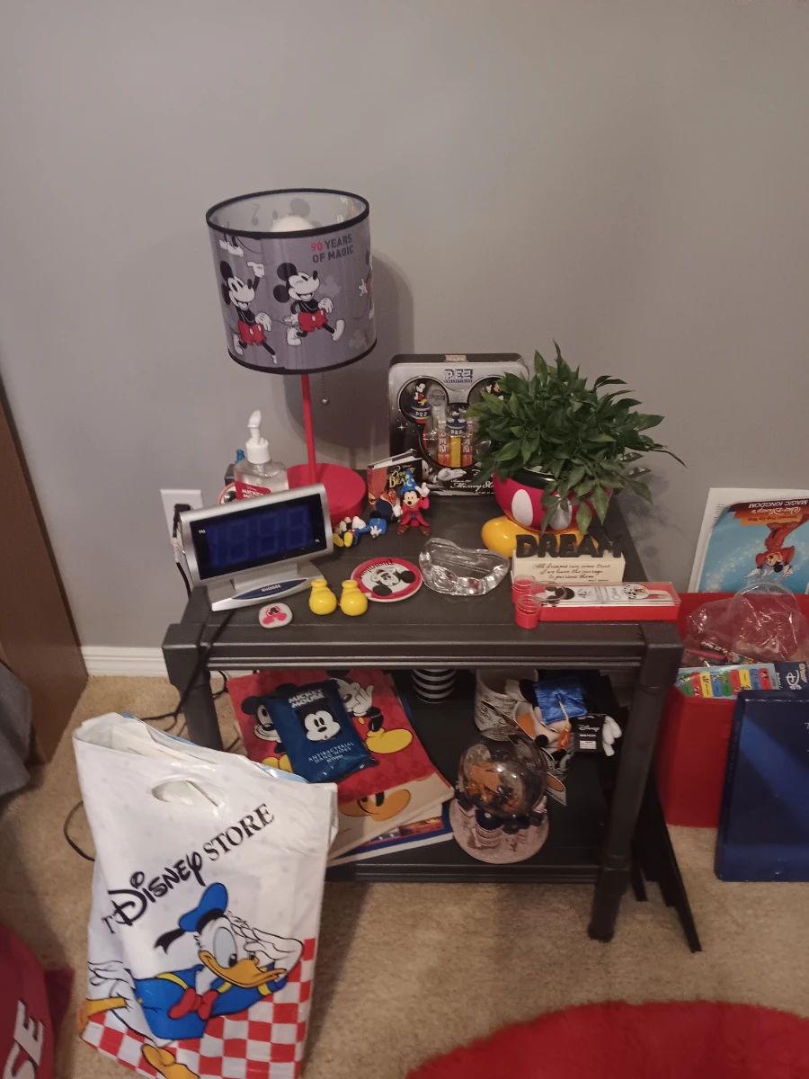 Estate Sale - Everything Must Go - Mickey Mouse Collection plus entire House