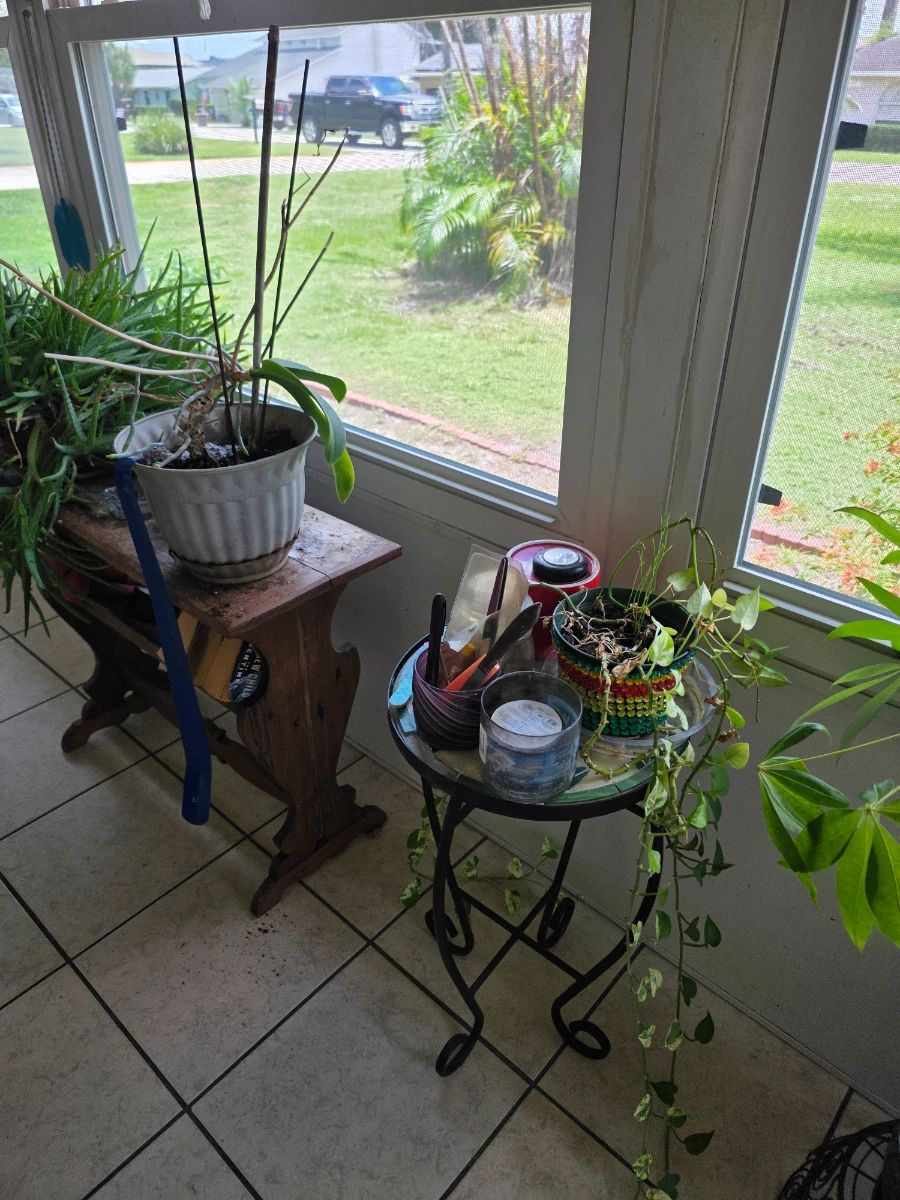 ESTATE SALES OF CENTRAL FLORIDA