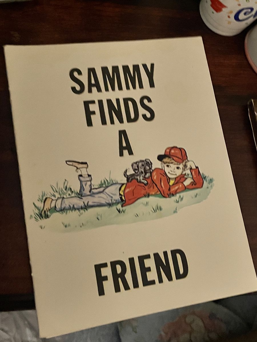 Sammy Finds a Friend Children's Book