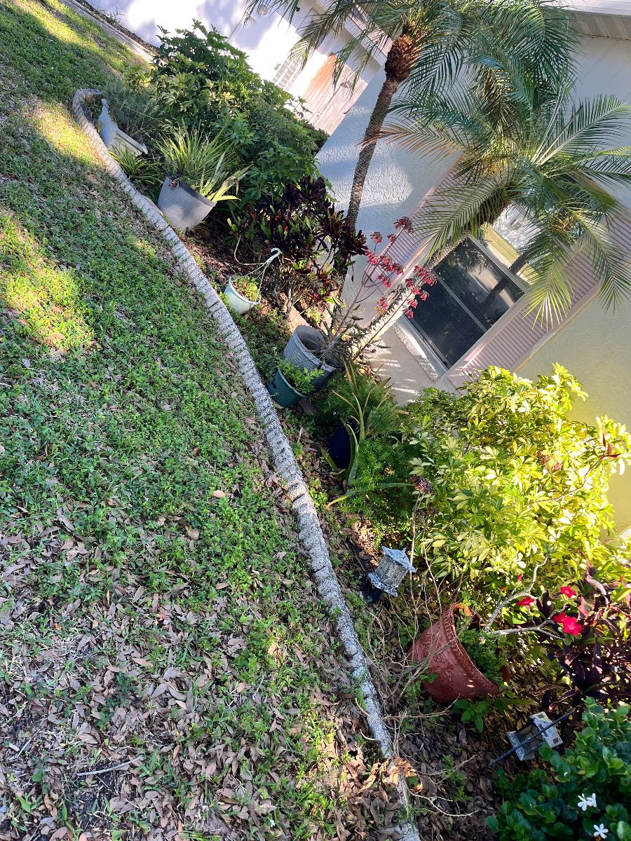 Estate Garden Assortment: Assorted Plants & Decor