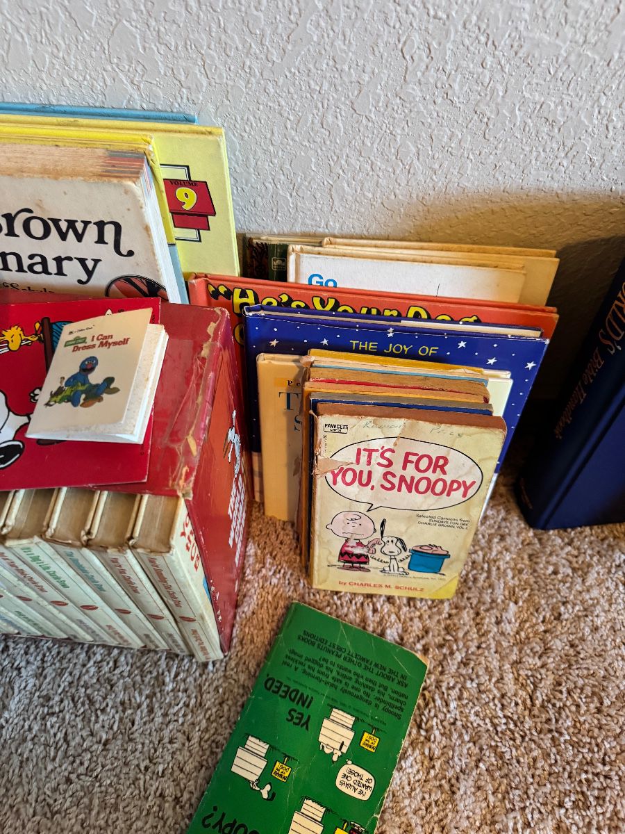 Burleson 2-Day Estate Sale – Disney Collectibles, Vintage Finds, Tools & More!