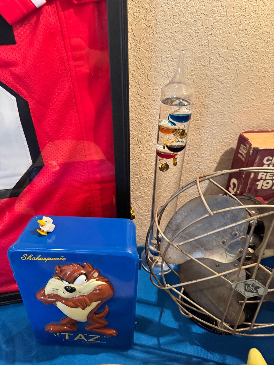 Burleson 2-Day Estate Sale – Disney Collectibles, Vintage Finds, Tools & More!