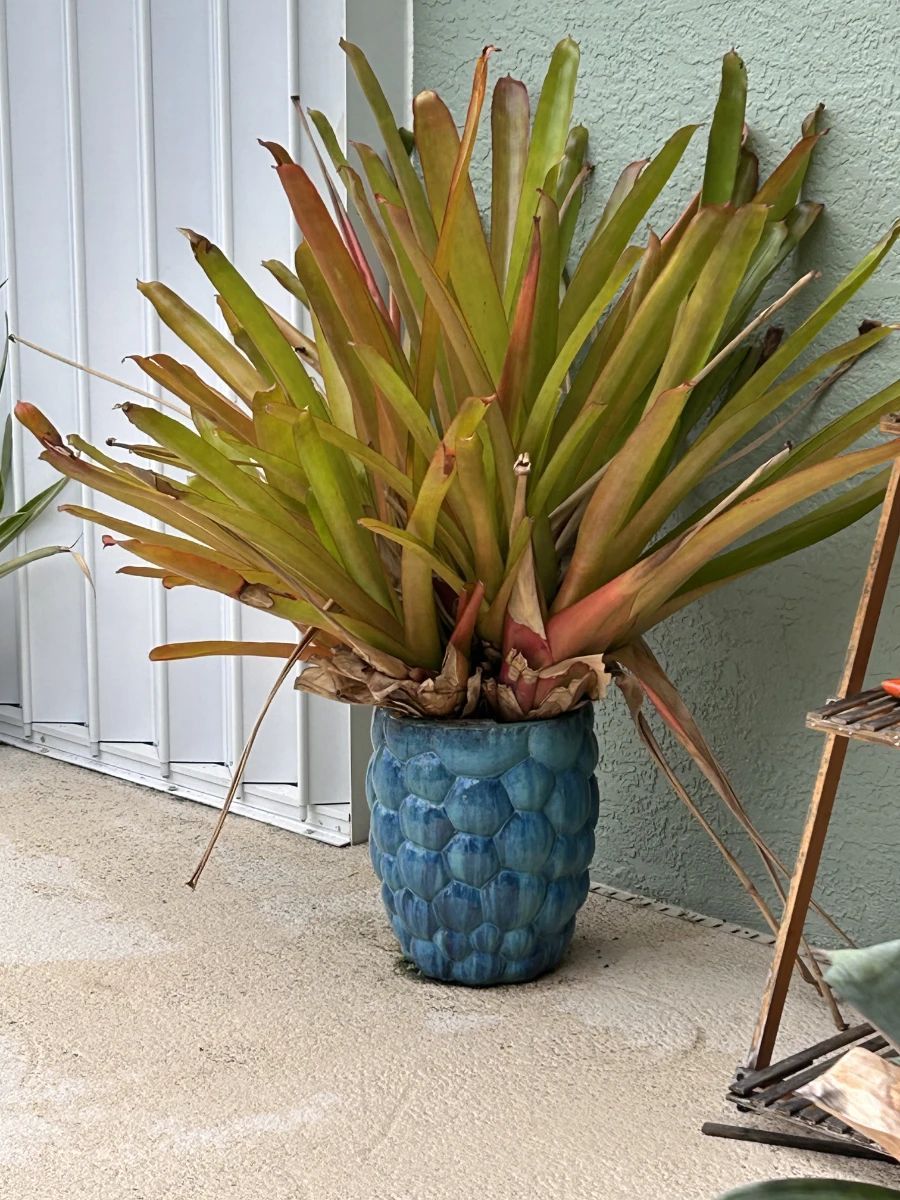 Items on offer in Punta Gorda, FL — +++Snowbirds Arrive, Prices Dive In Punta Gorda Estate Sale