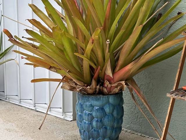 Items on offer in Punta Gorda, FL — +++Snowbirds Arrive, Prices Dive In Punta Gorda Estate Sale
