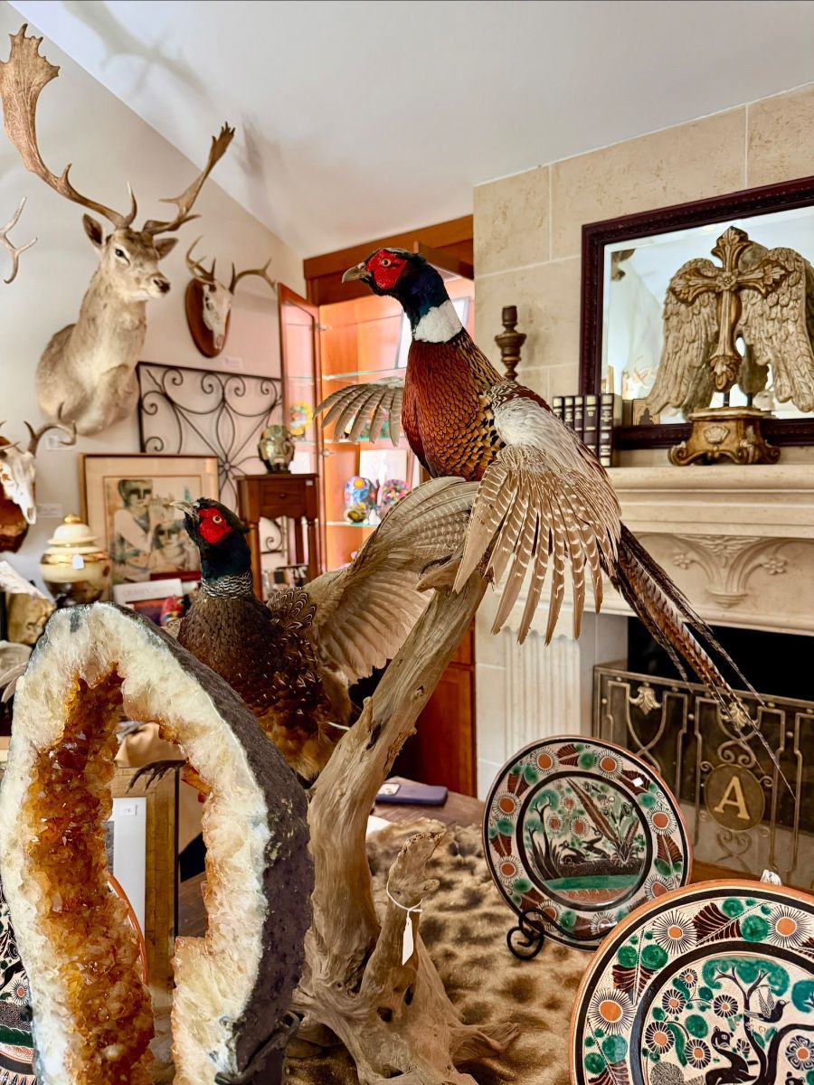 Items on offer in Fort Worth, TX — 3700SQFT RIDGMAR RANCH TAXIDERMY SAFARI MEN'S HUNTING BOUTIQUE, WOMEN'S, KITCHEN, CHRISTMAS, PATIO