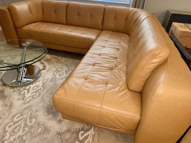 Items on offer in Lutz, FL — Lutz Estate Sale