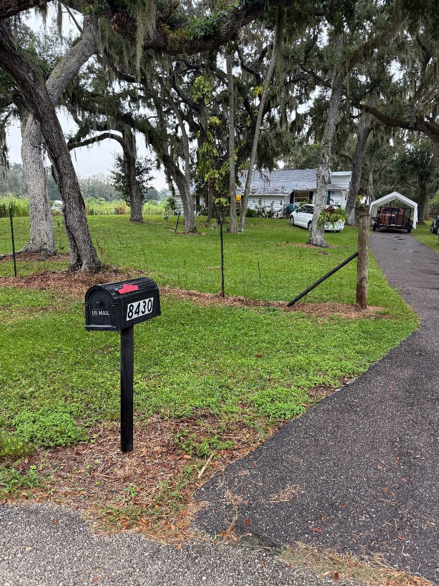 Items on offer in Palmetto, FL — Palma Sola Sales                  Palmetto